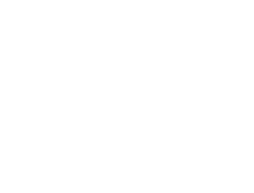 timcorp2026.simworks.com.ph